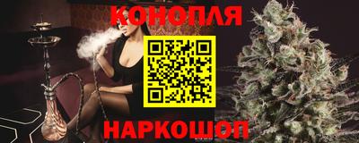 гидра Ставрополь