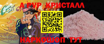 гидра Ставрополь