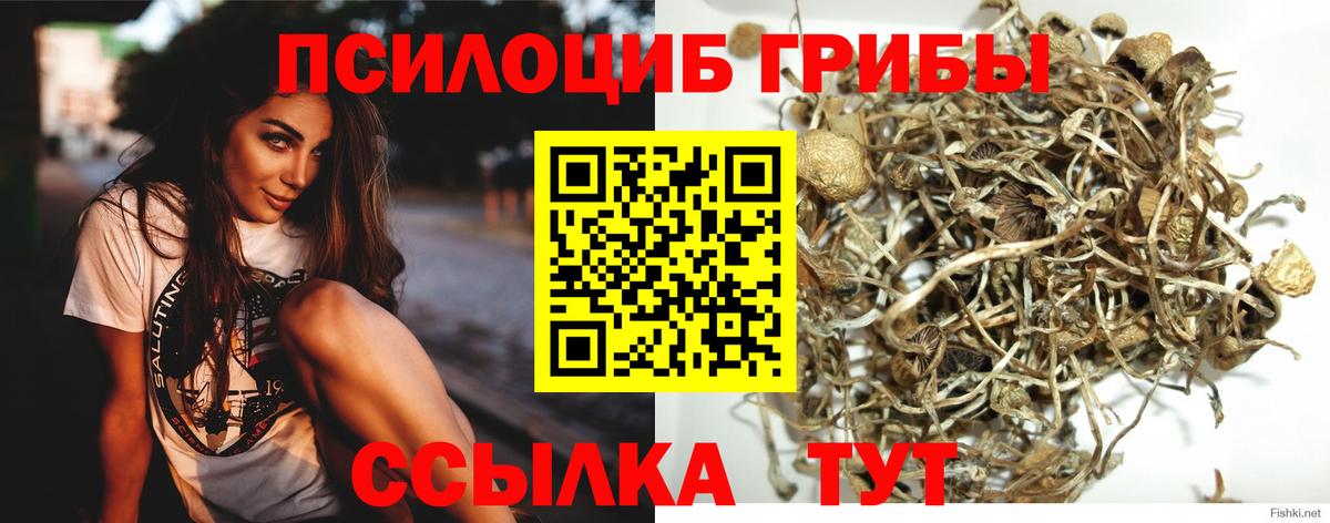 Псилоцибиновые грибы ЛСД  Вход с VPN  Псилоцибиновые грибы Psilocybine cubensis  Октябрьский 